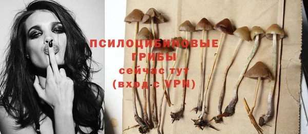 твердый Семёнов