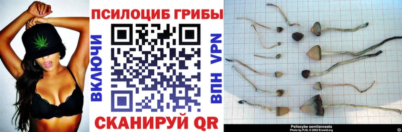 Галлюциногенные грибы Cubensis  MEGA онион  Закаменск 