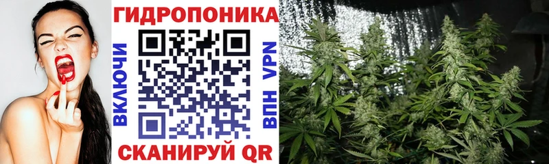МАРИХУАНА сатива  Закаменск 